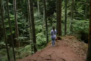 frauenjahresgruppe_wald